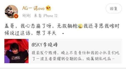 吃瓜盟主澄清小说,揭开小说背后的真相