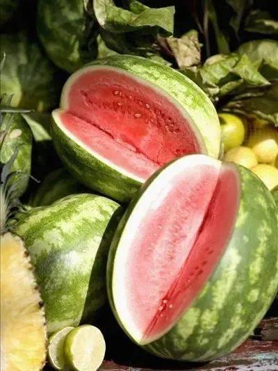 吃瓜元歌,网络红人的崛起与影响