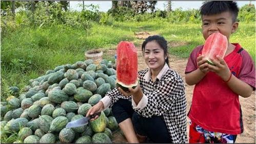 大步村吃瓜视频,揭秘乡村生活趣味瞬间