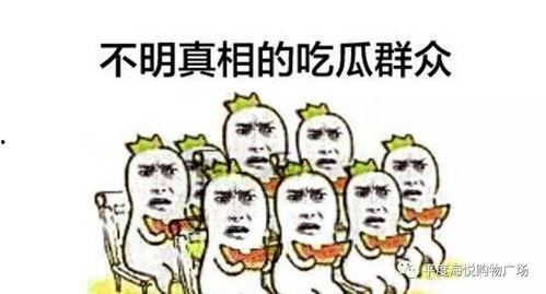 吃瓜群众下集预告