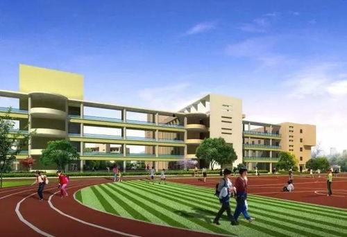 吃师大瓜衡水学院,吃师大瓜背后的故事与真相”