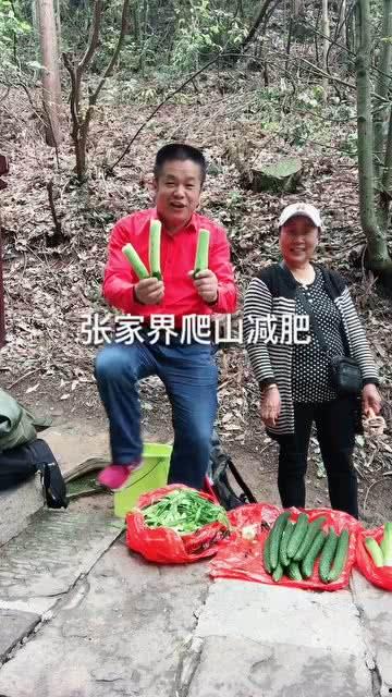 在哪里爬山吃瓜,探寻户外登山与休闲美食的完美邂逅