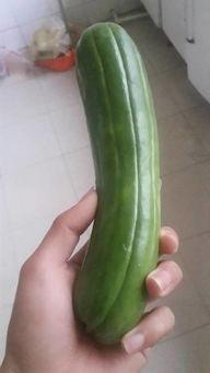 什么瓜吃一下,揭秘“什么瓜”的神奇魅力