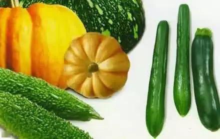 逃生二吃瓜,吃瓜群众眼中的惊险求生之旅