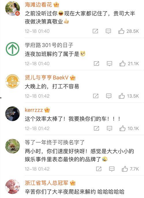 吃瓜奇葩小说,穿越时空的奇幻食记