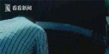 吃瓜群众违法停车,引发社会热议与反思