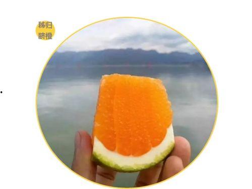 九红吃瓜,揭秘娱乐圈背后的那些事儿