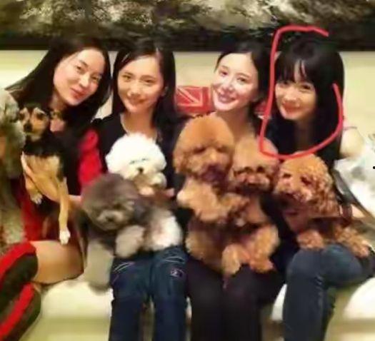 姐妹头像吃瓜图片,揭秘娱乐圈最新八卦风云