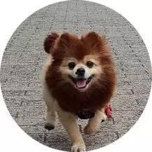 吃瓜群众的新词,新词“吃瓜”背后的网络文化现象