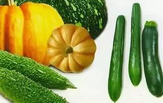 甛瓜怎样吃,解锁夏日清新美味