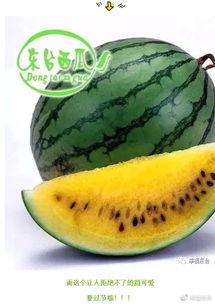 吃瓜群众60集,揭秘娱乐圈背后的风云变幻