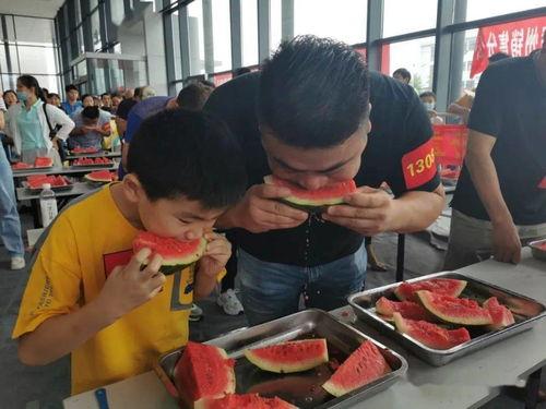 吃瓜群众60集,揭秘娱乐圈背后的风云变幻