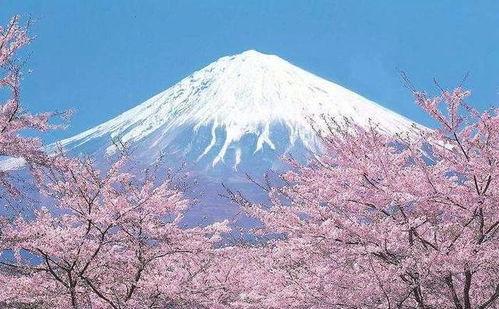 富士山吃瓜,富士山下的夏日吃瓜盛宴