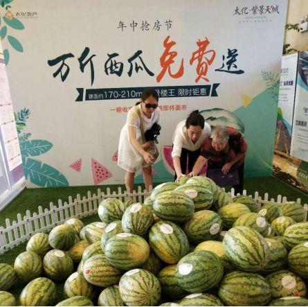 城规吃瓜,揭秘城市规划中的趣味与争议