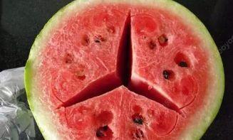 吃瓜蒙主 ysl,时尚界的潮流引领者