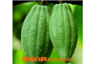 乳瓜怎么吃的好吃