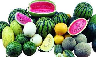 蓝奏吃瓜链接,一场网络热议背后的真相