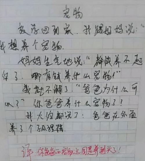 学生作文吃瓜