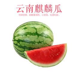 云南麒麟瓜必吃,必尝的甜蜜诱惑