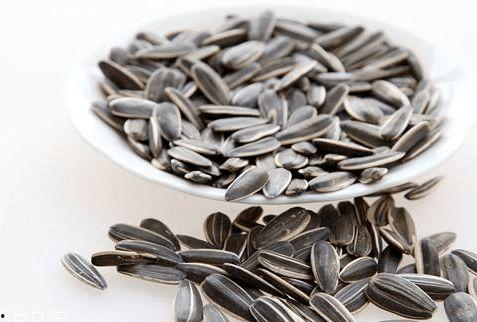 瓜子吃瓜配图,瓜子相伴，一起品味生活百态