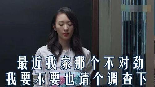 检察官吃瓜,揭秘法律界的轻松时刻