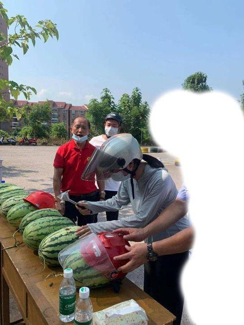 湖北孝感吃瓜事件,一场网络热议背后的真相探寻