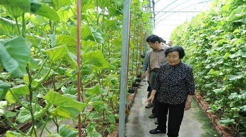 各种吃瓜的网站,揭秘各大吃瓜网站背后的热点事件追踪