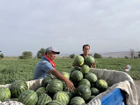 甘财贸吃瓜,揭秘娱乐圈幕后风云