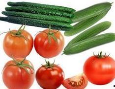 吃瓜禁拽,一场关于理智与情感的较量