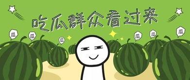 暑期吃瓜,吃瓜群众欢乐多