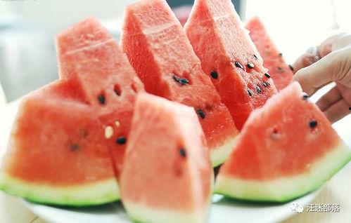 暑期吃瓜,吃瓜群众欢乐多