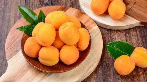 51吃瓜杏子兔酱,揭秘网络红人的魅力与影响力