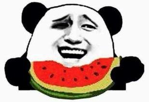 新晋吃瓜群众,揭秘娱乐圈幕后风云