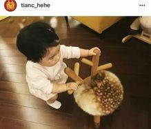 肉团安安吃瓜,揭秘娱乐圈幕后故事