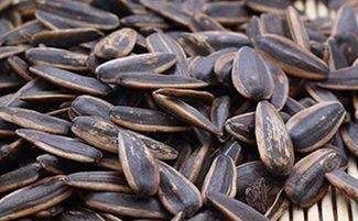 吃瓜要吃瓜子么,揭秘瓜子的魅力与吃法