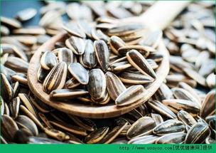 吃瓜要吃瓜子么,揭秘瓜子的魅力与吃法