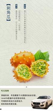 四海吃瓜,揭秘娱乐圈幕后故事