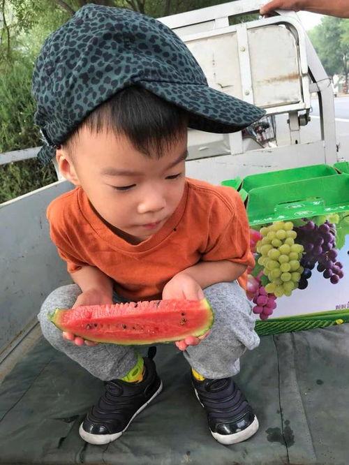 吃瓜一对超火父女瓜,吃瓜界的甜蜜风暴