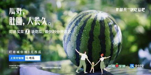 啵啵大人吃瓜,揭秘娱乐圈幕后故事