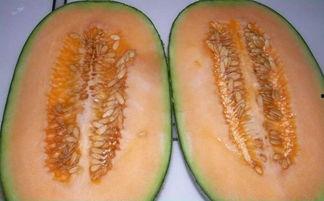 吃哈密瓜可以吃烧烤吗,美味搭配的夏日盛宴