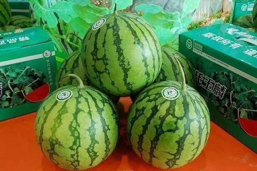 菏泽吃瓜后续,揭秘背后真相与网络舆论风暴