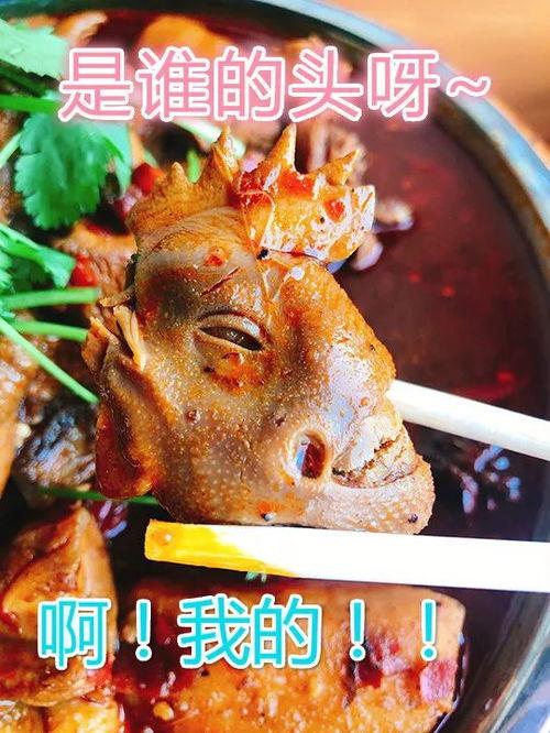 无瓜金龙吃鸡名字,畅享欢乐吃鸡之旅