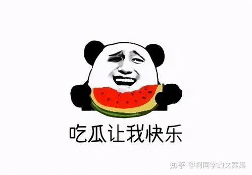 吃瓜群众吃的是什么瓜