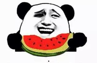 吃瓜一郎,揭秘娱乐圈幕后真相的“瓜王”传奇