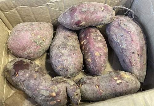 冬天吃土瓜,冬日暖胃土瓜美食之旅