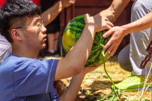 生椰吃瓜,夏日消暑新风尚