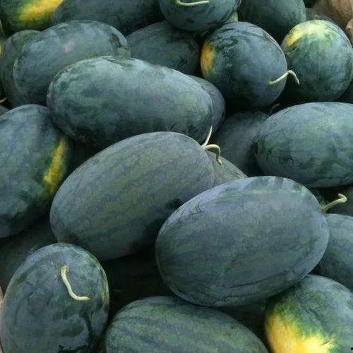 京瓜能怎么吃,解锁京瓜美味新境界