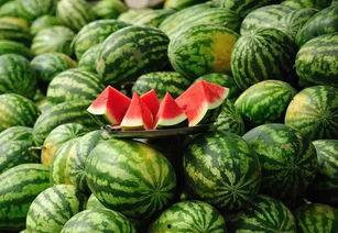 吃土瓜的坏处,健康饮食从远离土瓜开始