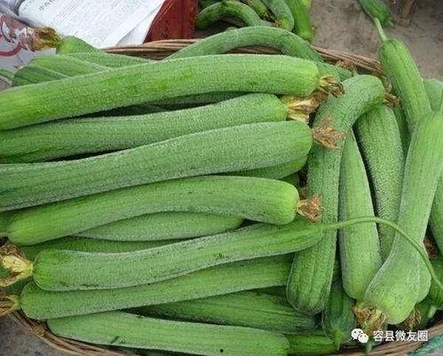 喜欢怎么吃瓜,揭秘“喜欢怎么吃瓜”的独特风味