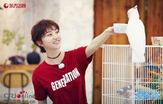 吃瓜王源黄牛,吃瓜群众如何应对